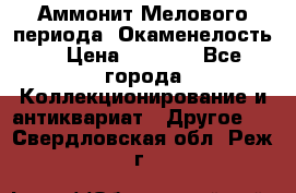 Аммонит Мелового периода. Окаменелость. › Цена ­ 2 800 - Все города Коллекционирование и антиквариат » Другое   . Свердловская обл.,Реж г.